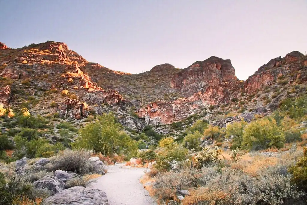 Surprise Arizona